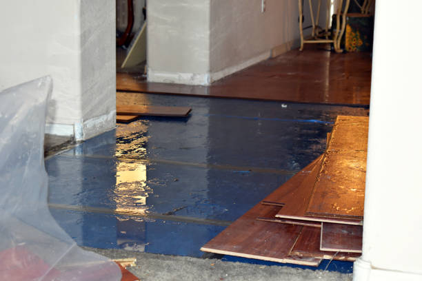 Professional Water Damage technician working in Smiley, TX