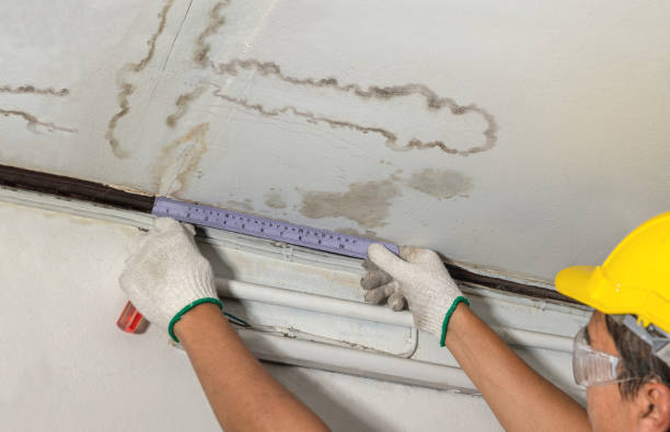 Reliable Water Damage contractor in Smiley, TX by Water Damage Irwin